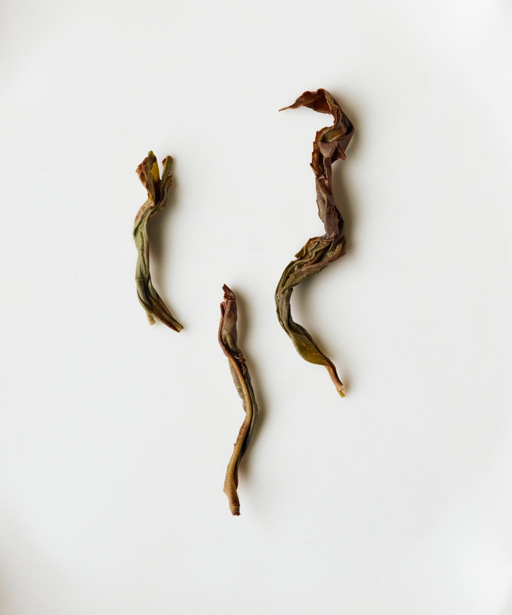 Da'an Song Zhong Phoenix oolong from Wudong Mountain — Song cultivar from Da'an Village, Chaozhou, Guangdong