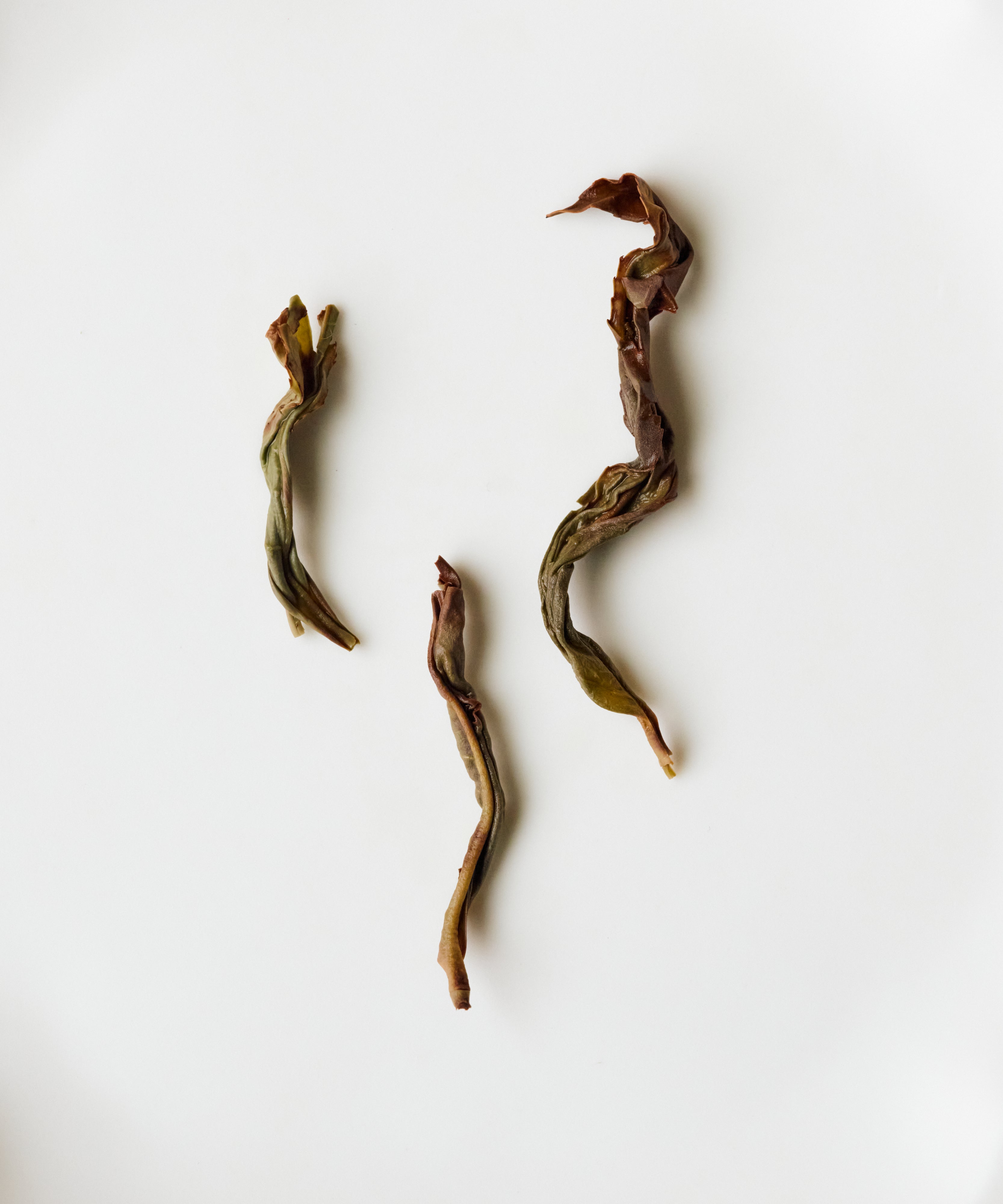 Da'an Song Zhong Phoenix oolong from Wudong Mountain — Song cultivar from Da'an Village, Chaozhou, Guangdong