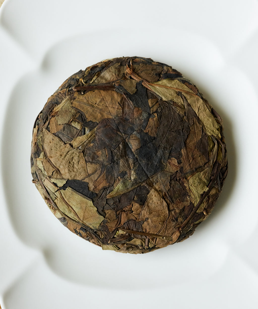 Brewing Wild White Reserve — Mr. Fan's aged wild white tea from Zhenghe, Fujian