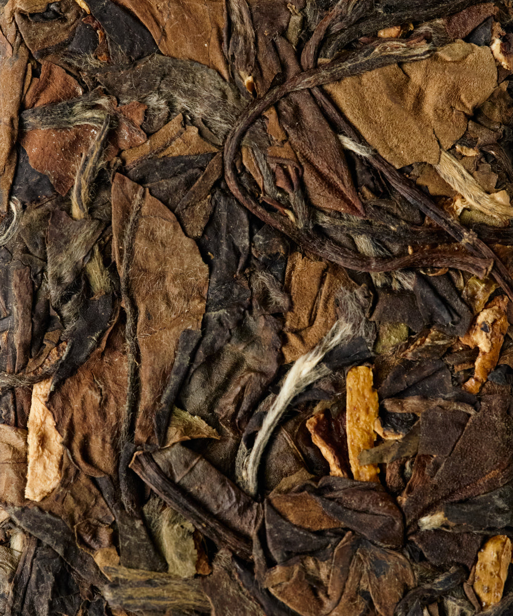 Imperial White & Orange Peel — Fuding Shoumei pressed with aged Chen Pi from Xinhui, Guangdong