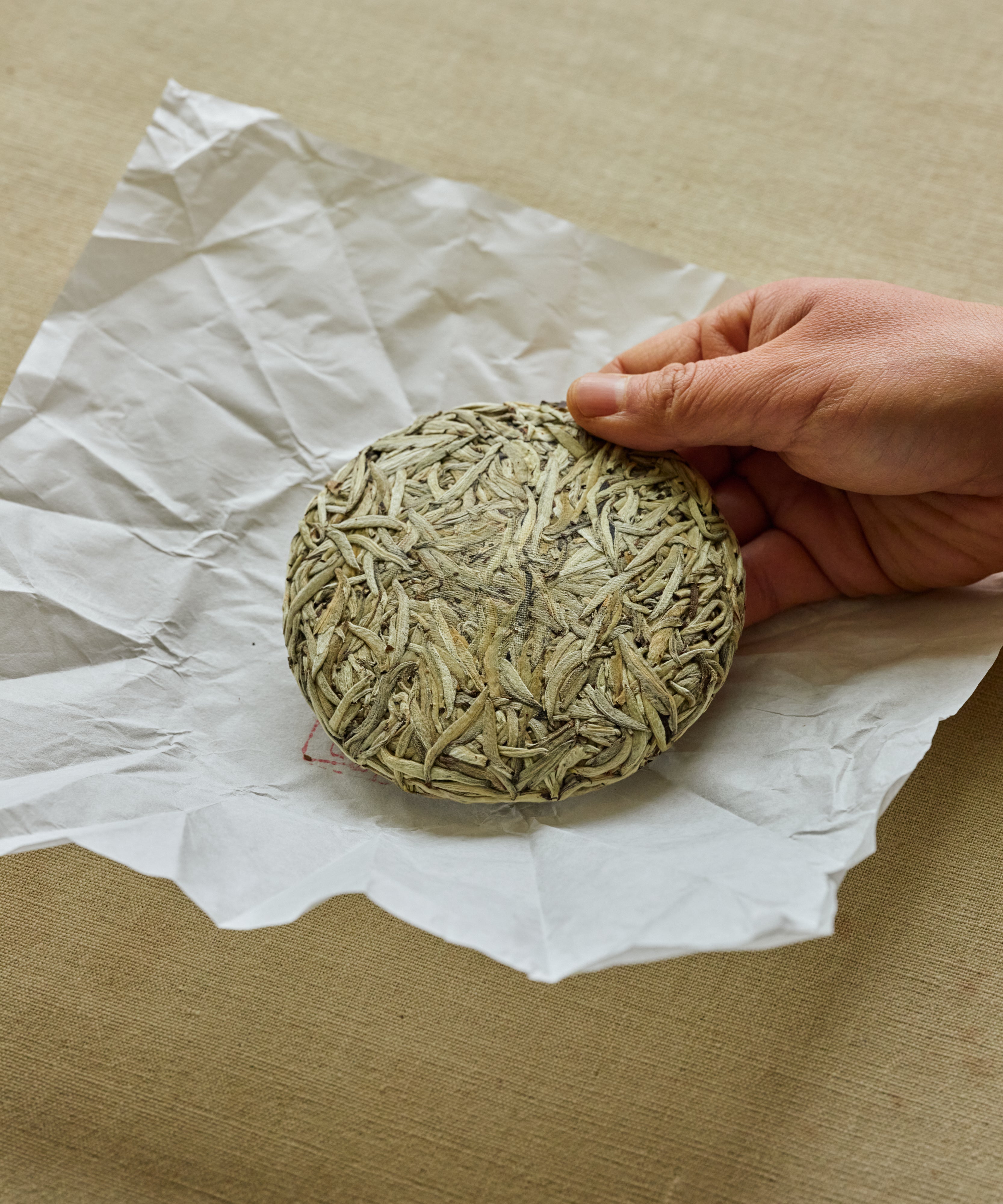 Detail of Silver Needle showing the downy white buds from Jinggu pu'erh trees