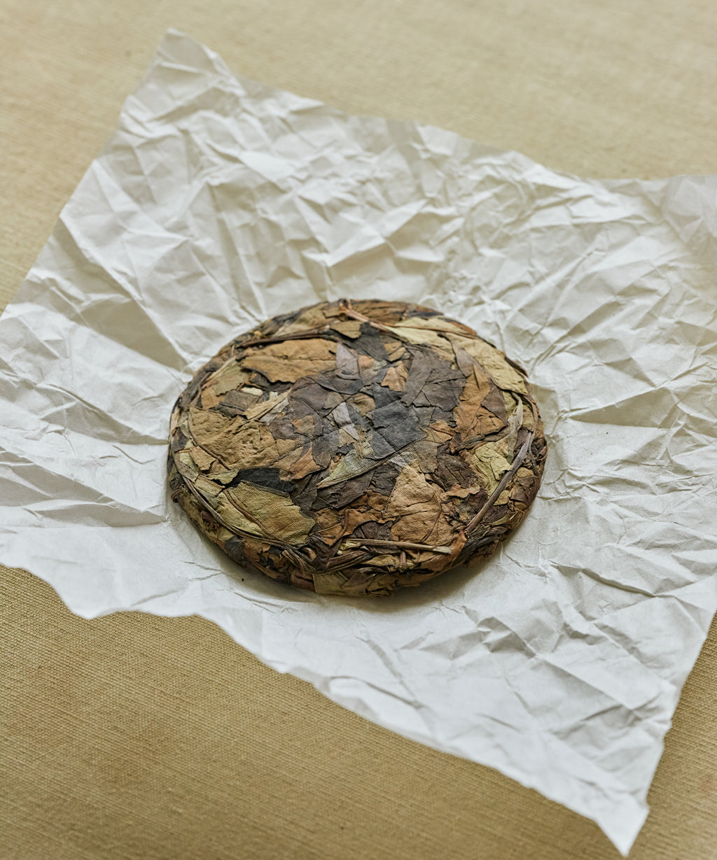 Wild White Reserve dry leaves — aged Shoumei from wild trees at 3600 ft, Zhenghe, Fujian