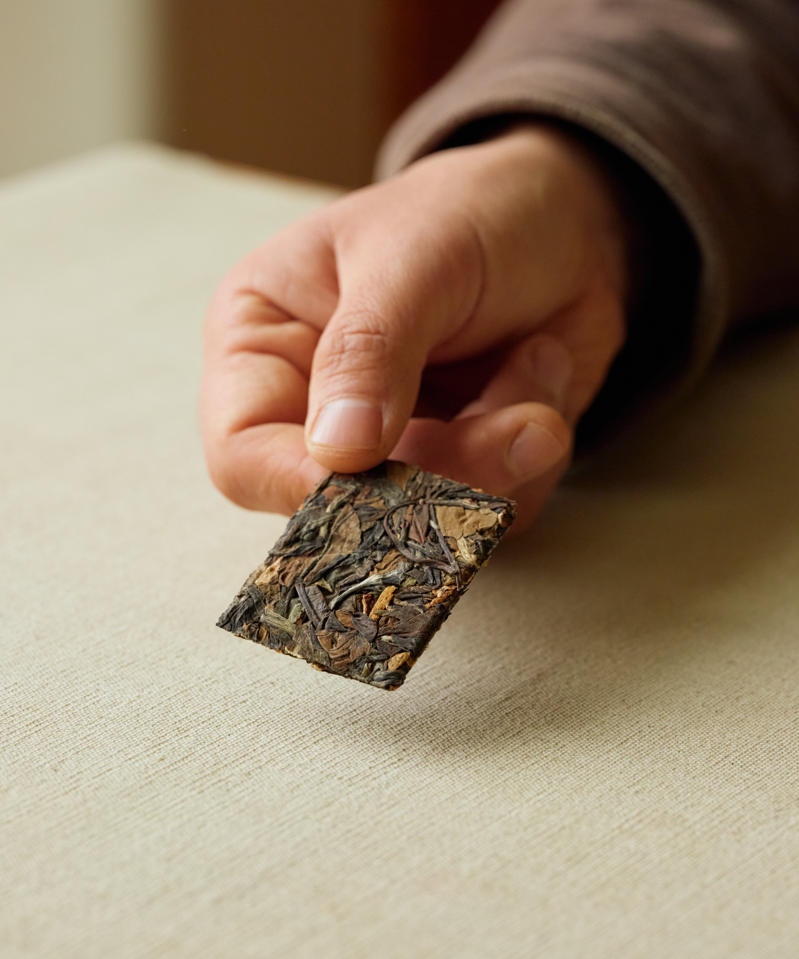 Imperial White & Orange Peel dry tea — Fuding Dabai white tea with aged orange peel, Fujian