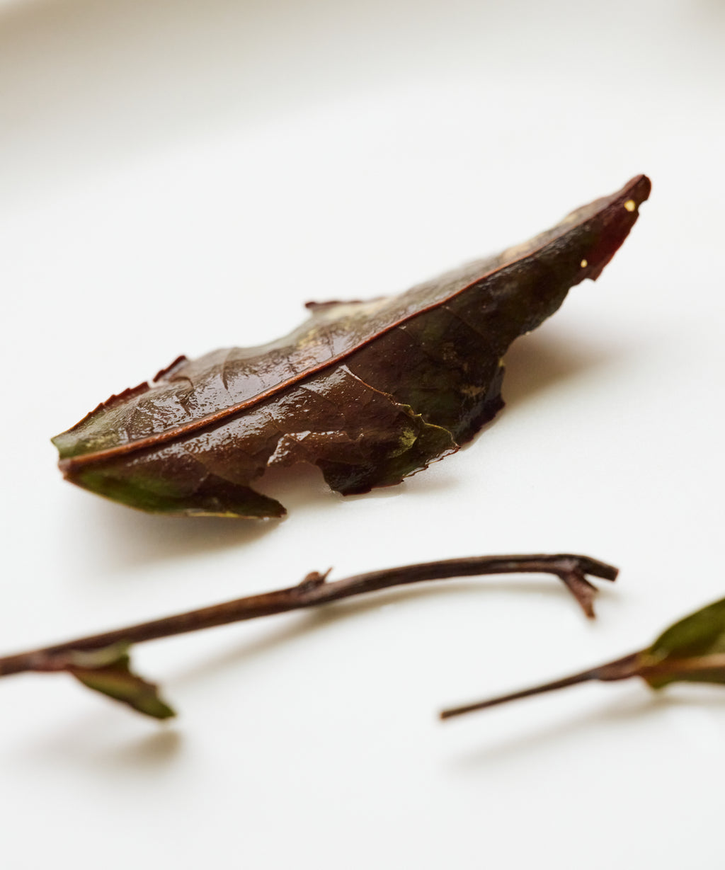 Brewing Shou Mei — aged white tea from Fuding, Fujian