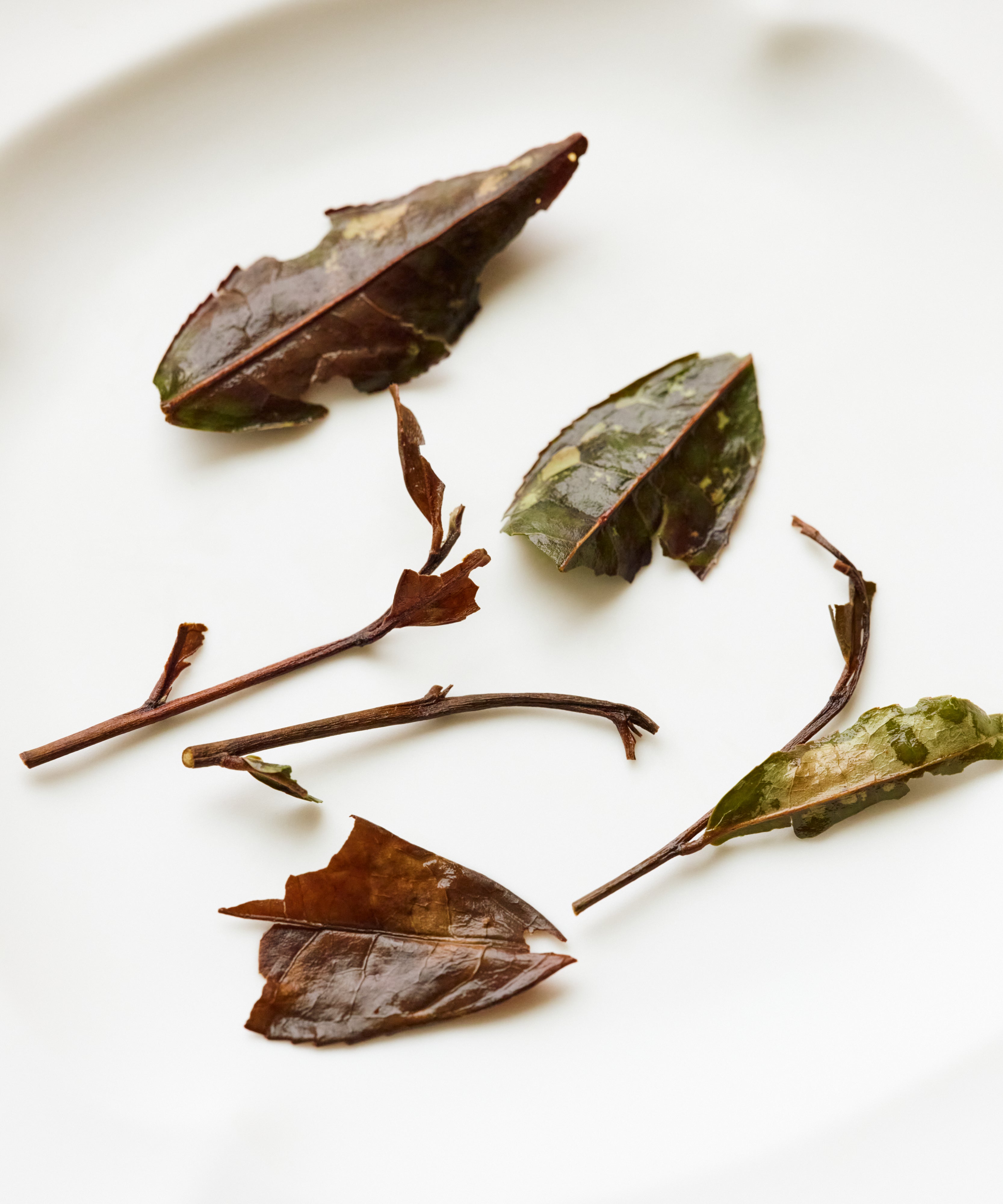 Shou Mei liquor — mellowed, settled aged white tea with orange peel aftertaste, Fuding, Fujian