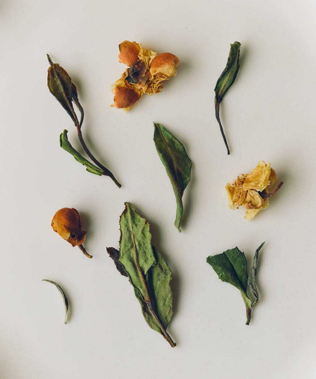 Laoshan White & Tea Blossoms dry leaves — white tea with tea blossoms from Laoshan, Shandong
