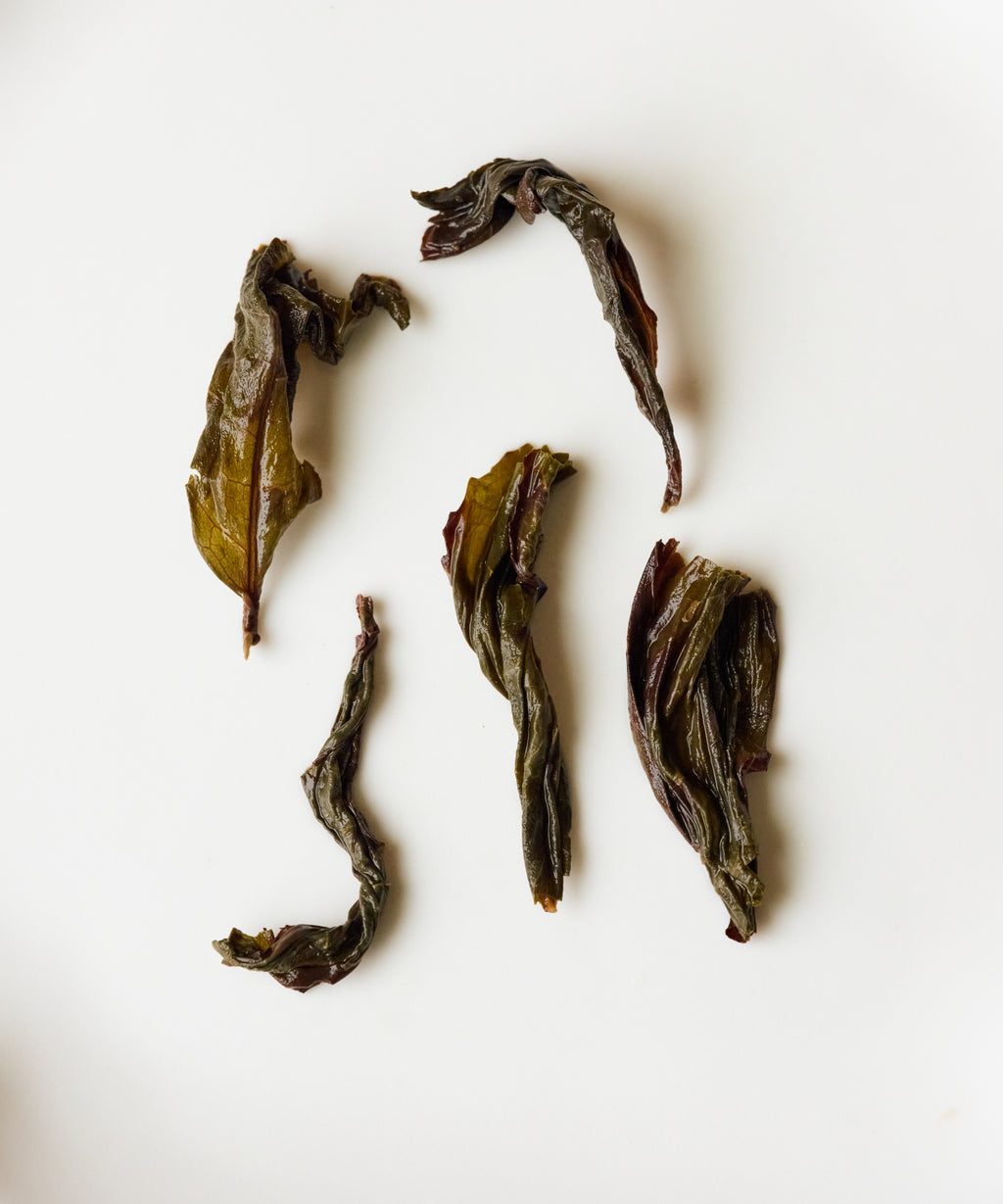 Semi Wild Old Grove Buddha's Hand liquor — roasted sunflower seed, fava bean, and iced wine sweetness