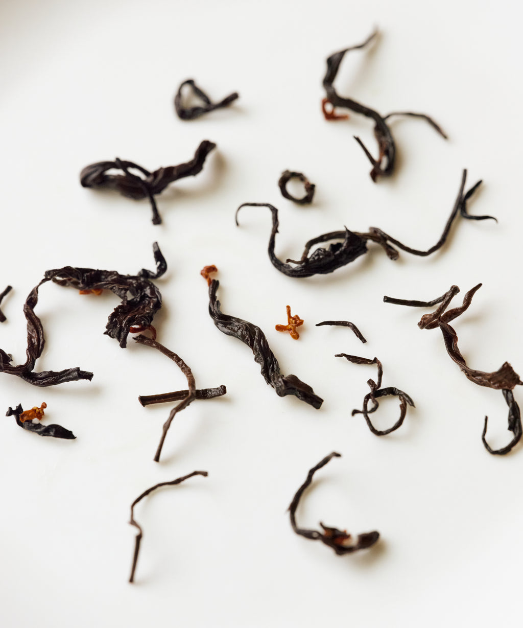 Osmanthus Laoshan Black