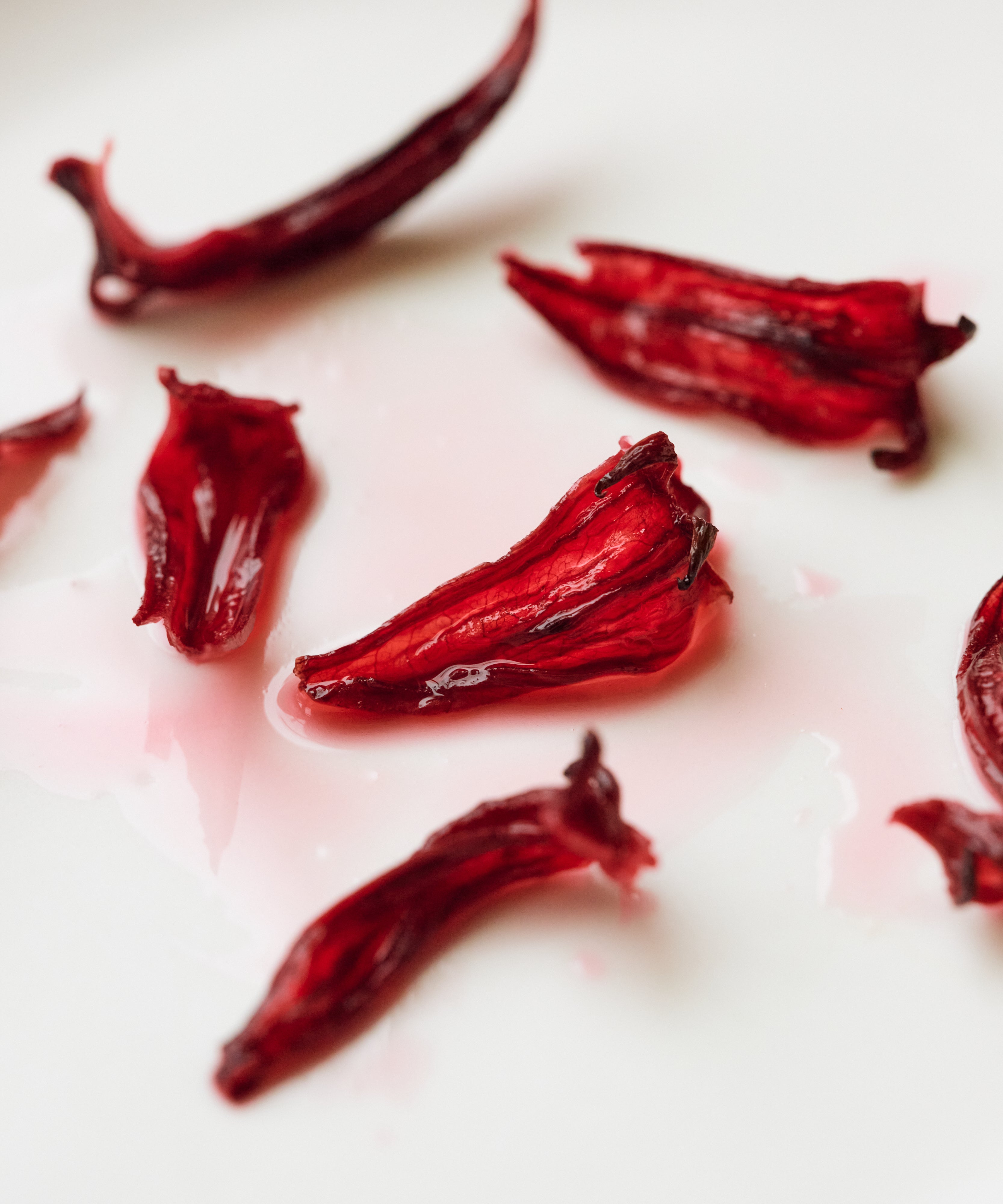 Hibiscus