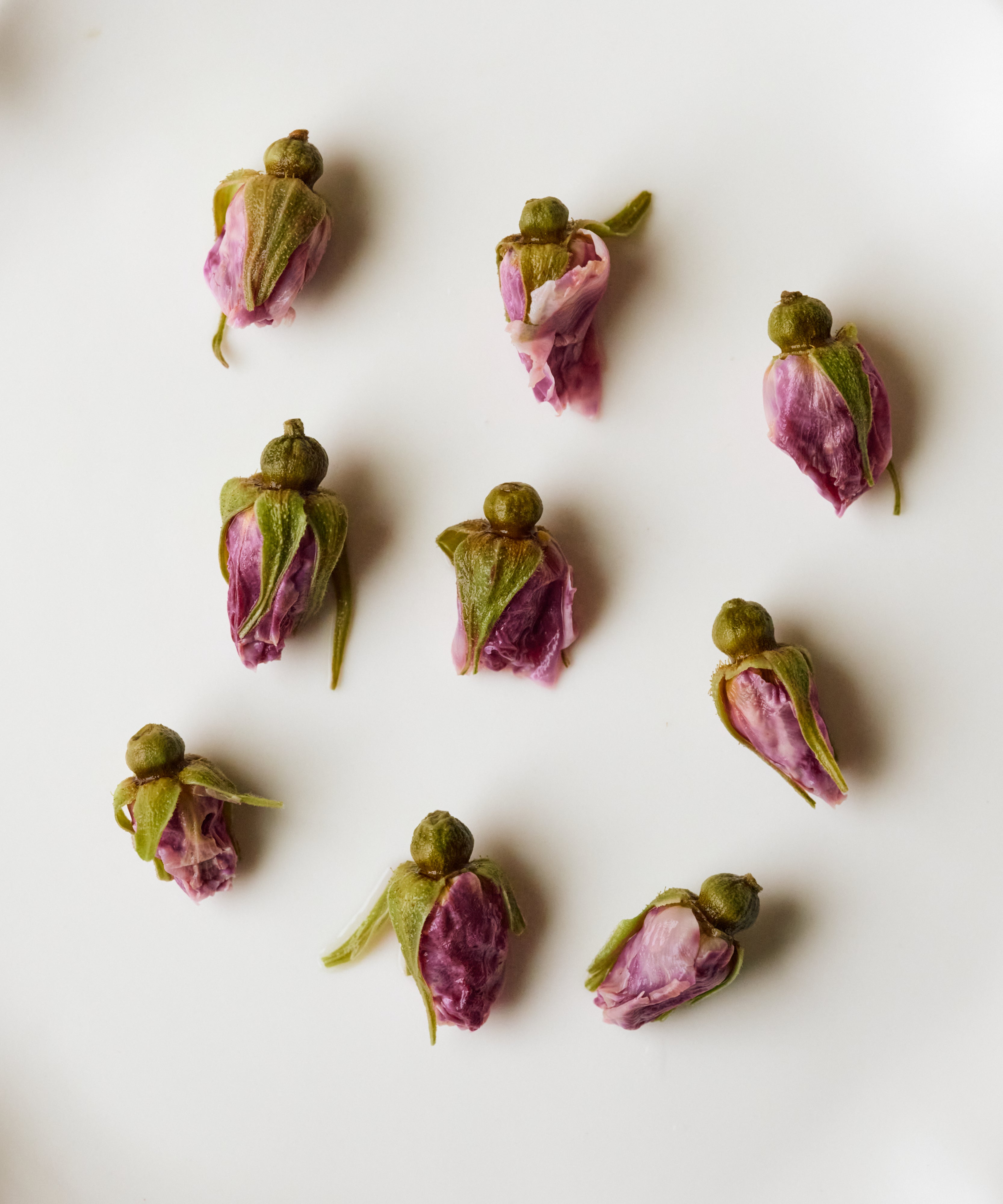 Red Rose