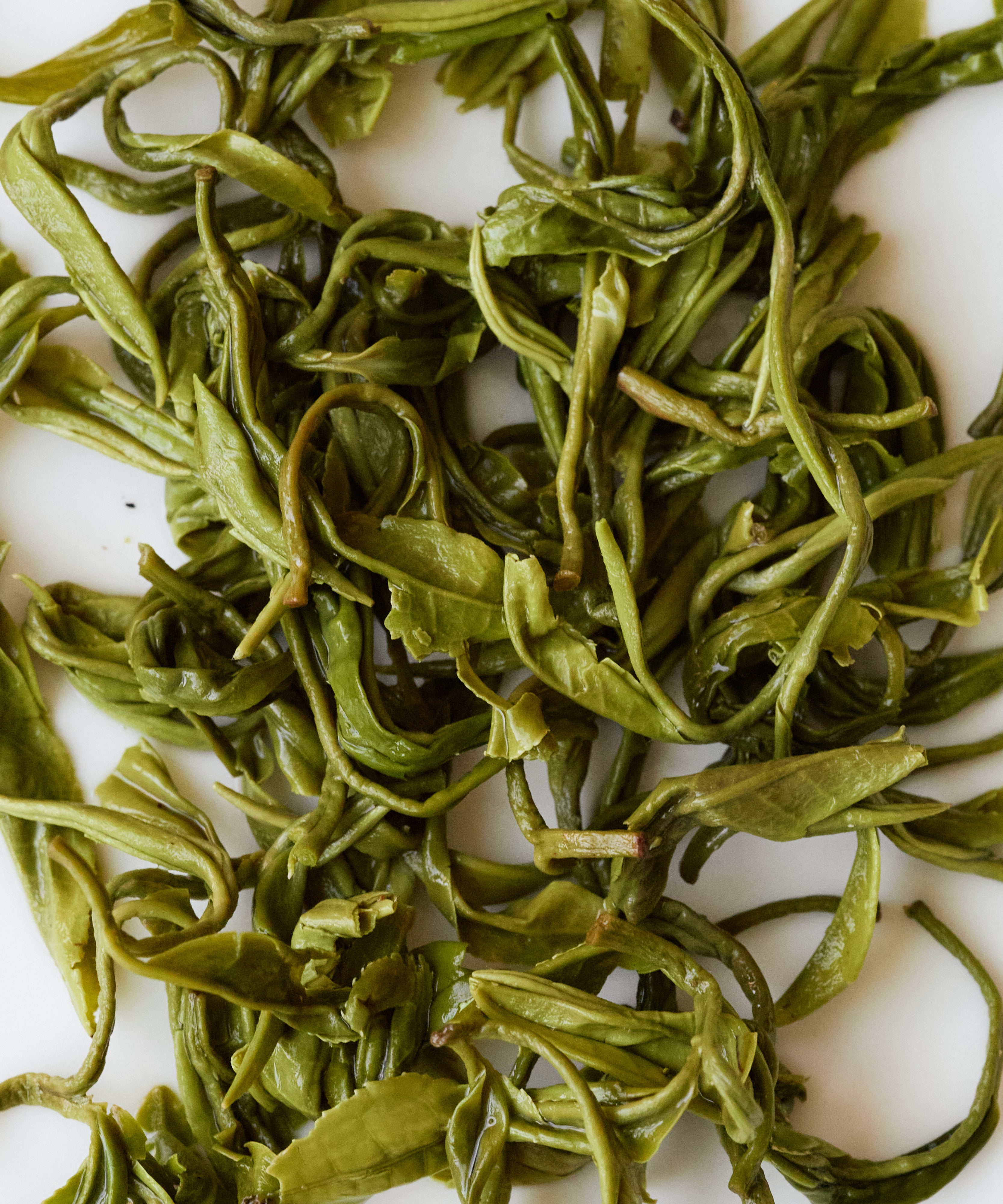 Huoqing Fire Jade dry leaves close-up — oily sheen from 20 hours continuous charcoal roasting, April 2026