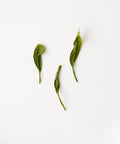 Enshi Yulu "Jade Dew"