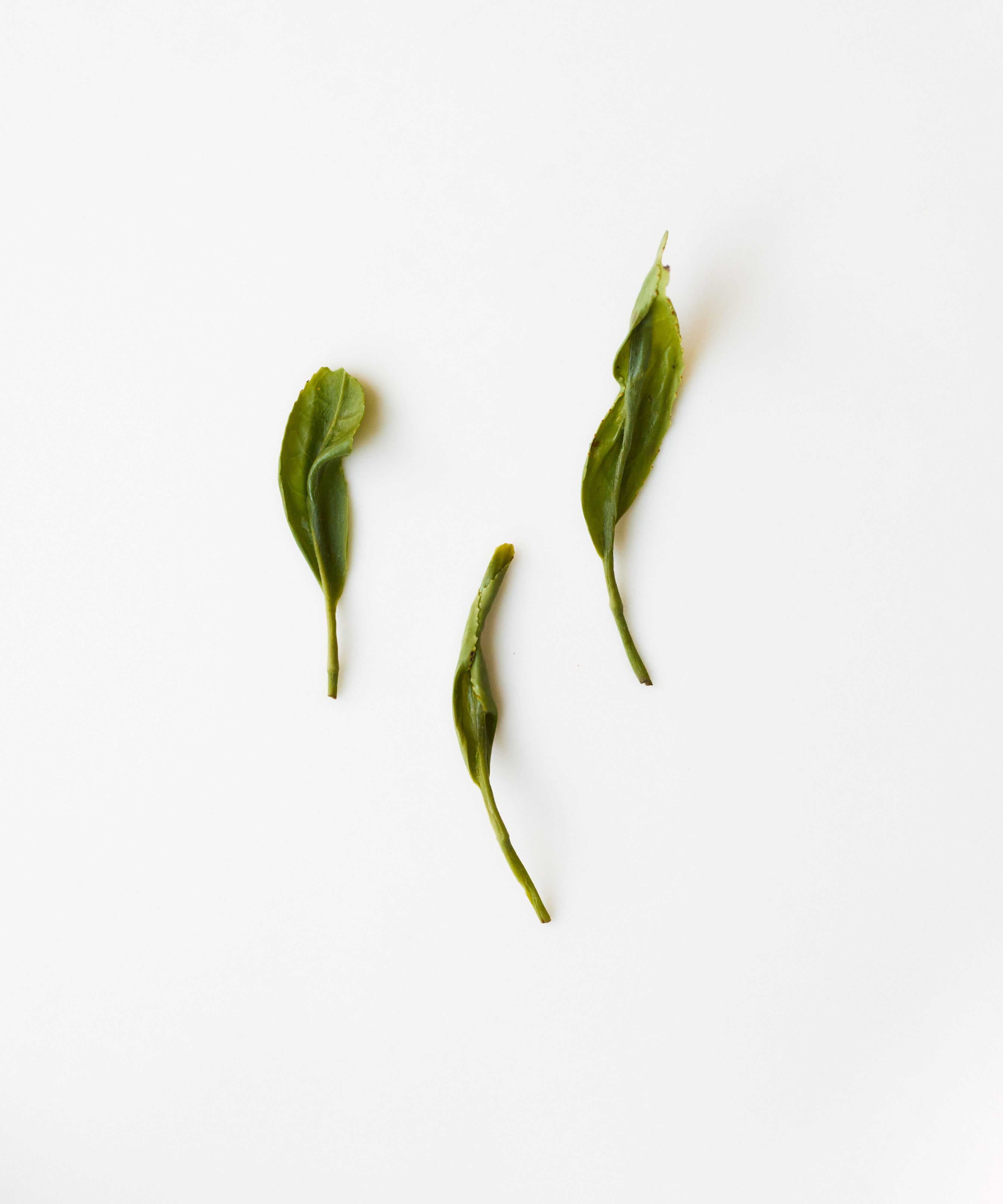 Enshi Yulu "Jade Dew"