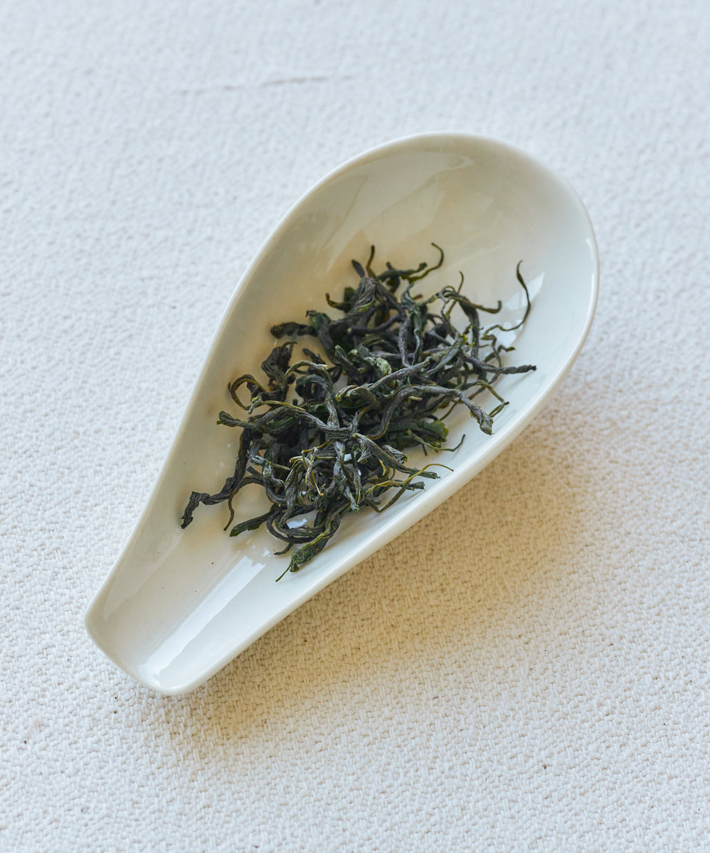 Duyun Maojian "Spring Tip"