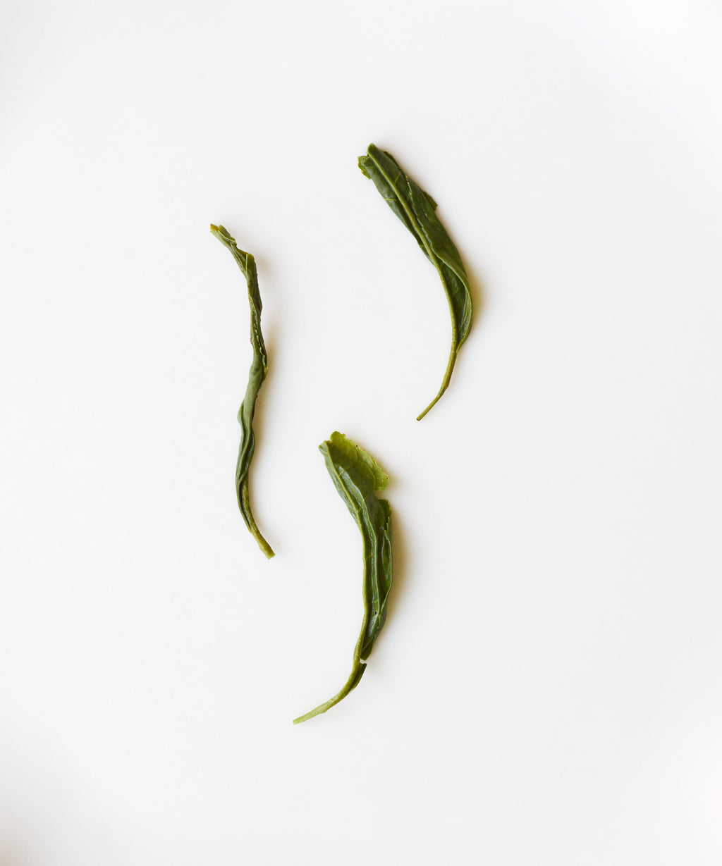 Duyun Maojian "Spring Tip"