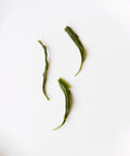 Duyun Maojian "Spring Tip"