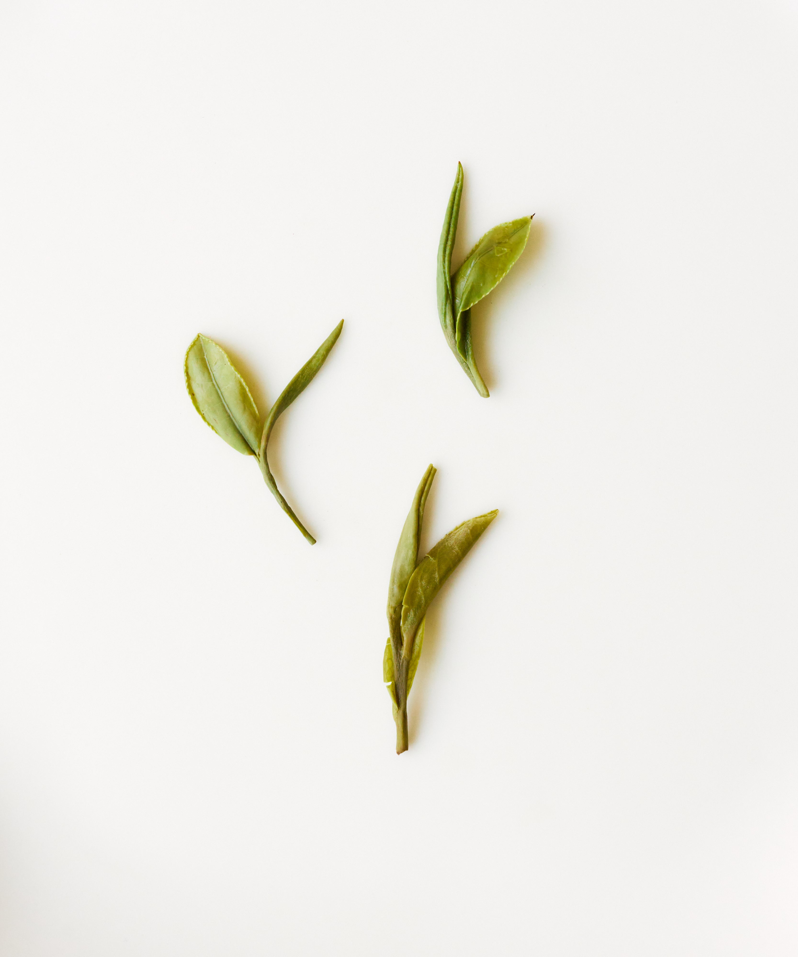 Master Tang's Dragonwell