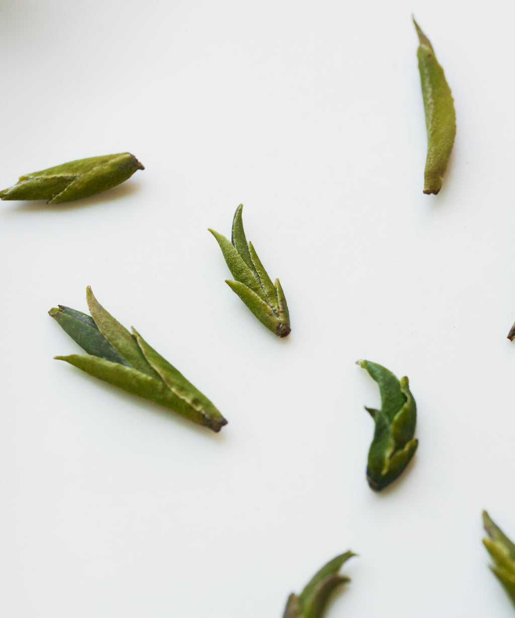 Daxueshan Wild Pu'erh Shoots