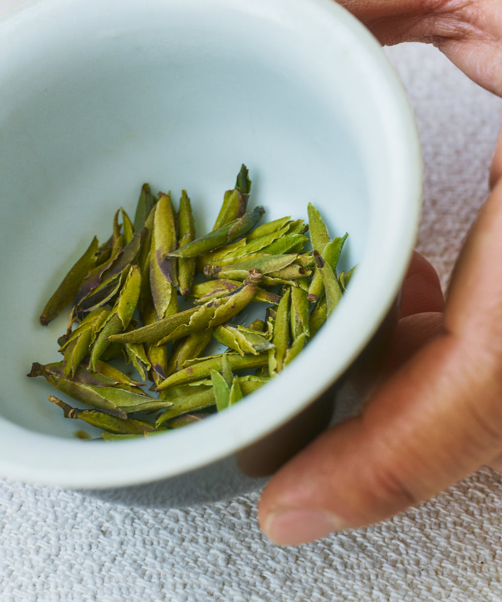 Daxueshan Wild Pu'erh Shoots