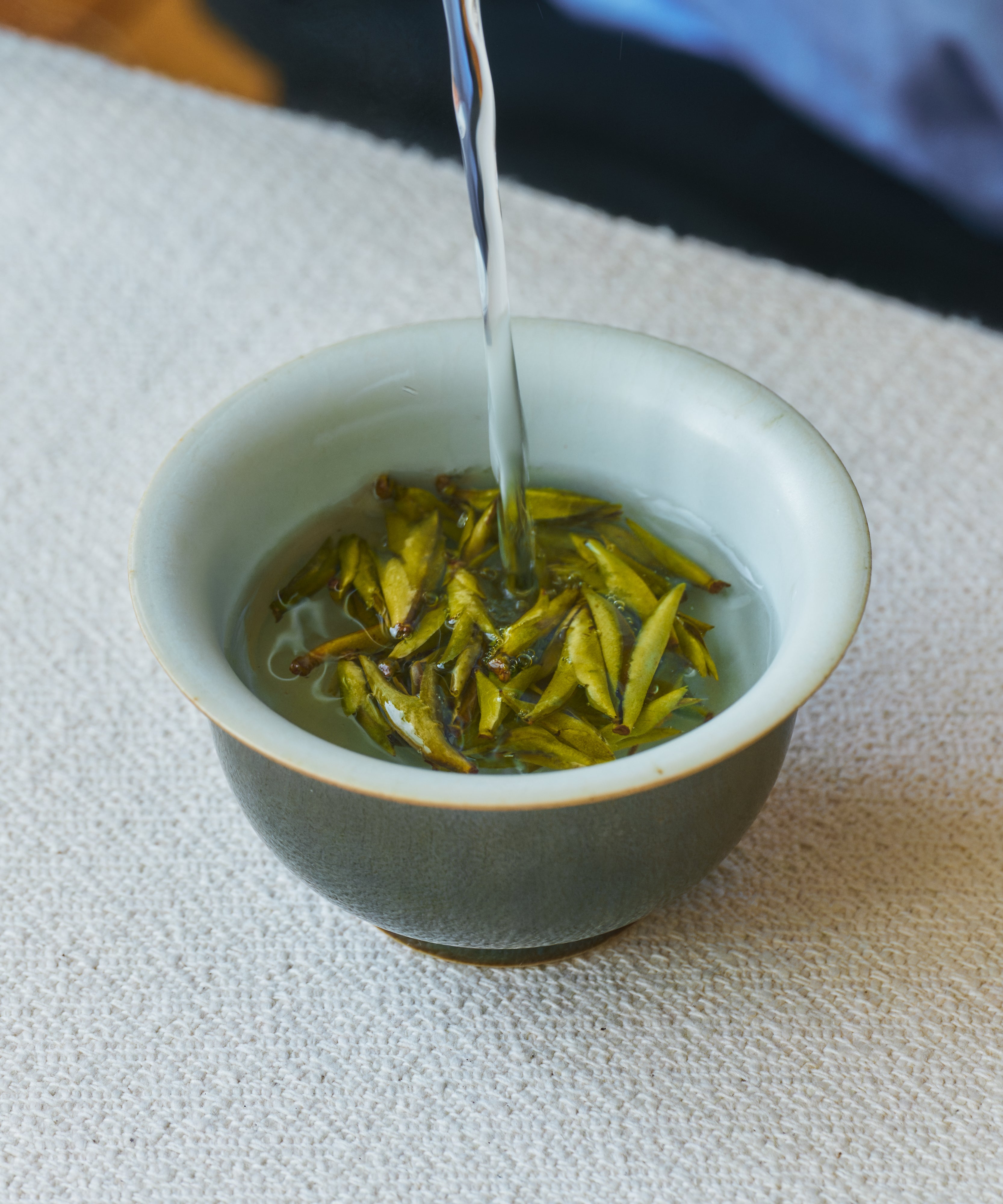 Daxueshan Wild Pu'erh Shoots