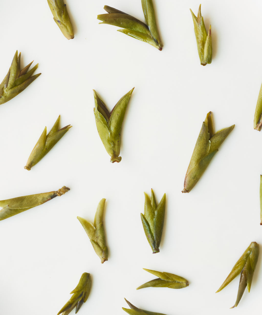 Daxueshan Wild Pu'erh Shoots