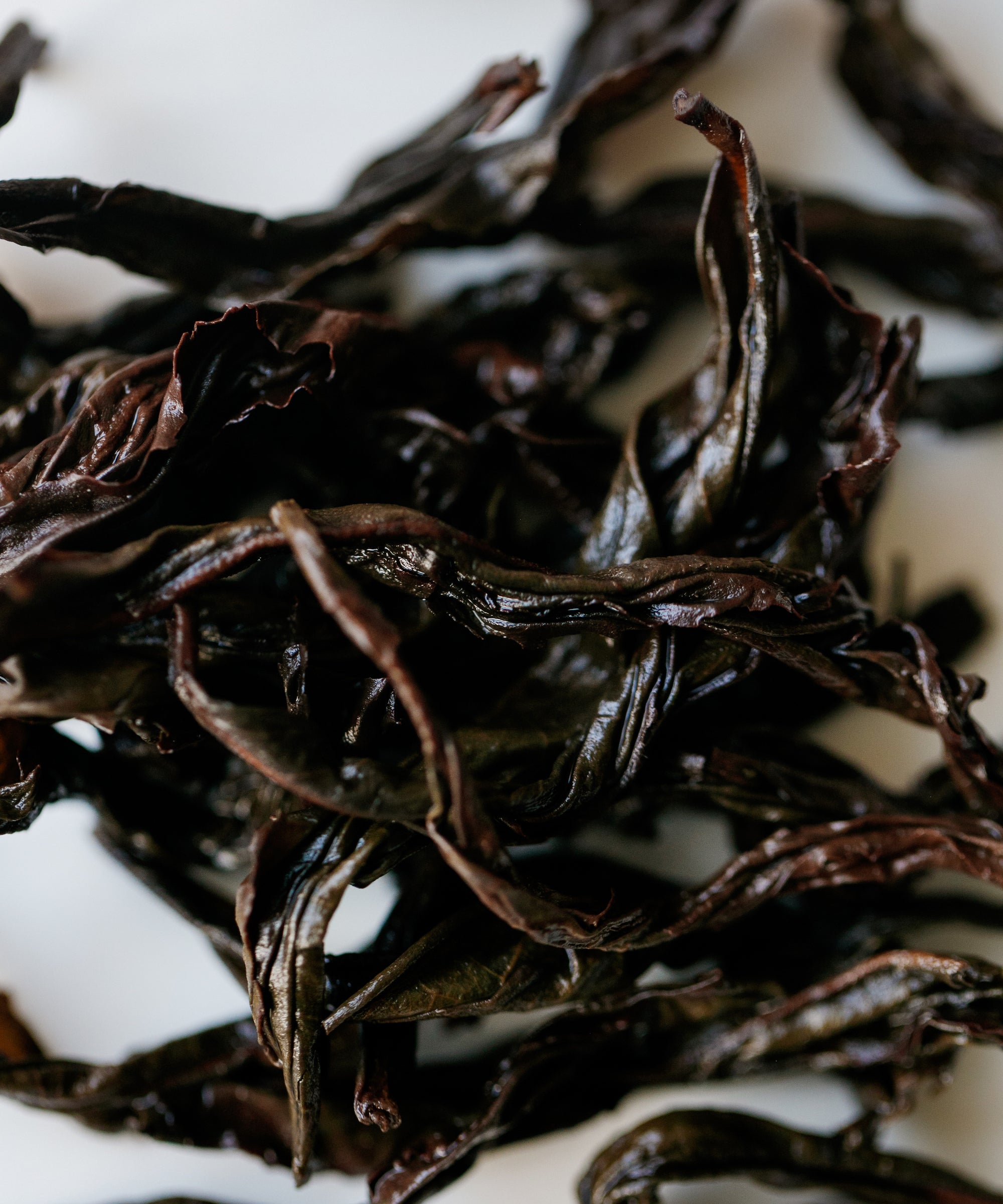 Charcoal Roasted Buddha's Hand