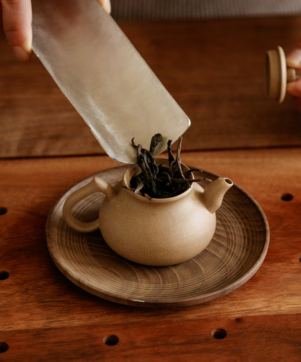 Brewing Sanyang Peak Shuixian — true cliff yancha from the highest peak in Wuyi Nature Reserve