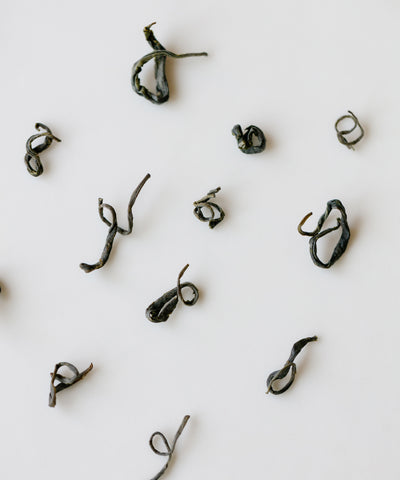 Laoshan Green fresh leaves — Mr. Tang's pan-fried green tea from China's northernmost tea region, Shandong