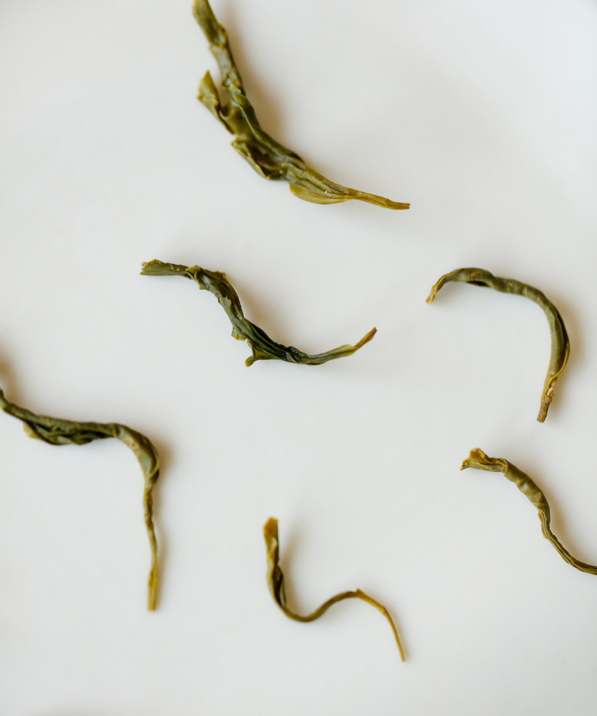 Laoshan Green dry leaves close-up — Mr. Tang's family generational tea from Mount Lao, May 2025 harvest