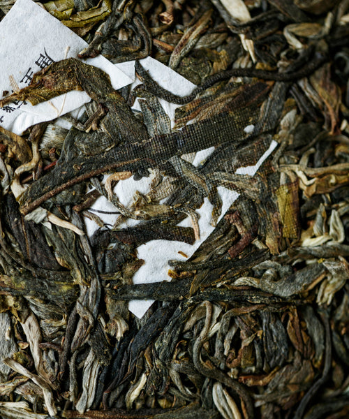 Ancient Spring Orchid sheng pu'erh by Mr. Tang — first harvest only, Jinggu, Yunnan