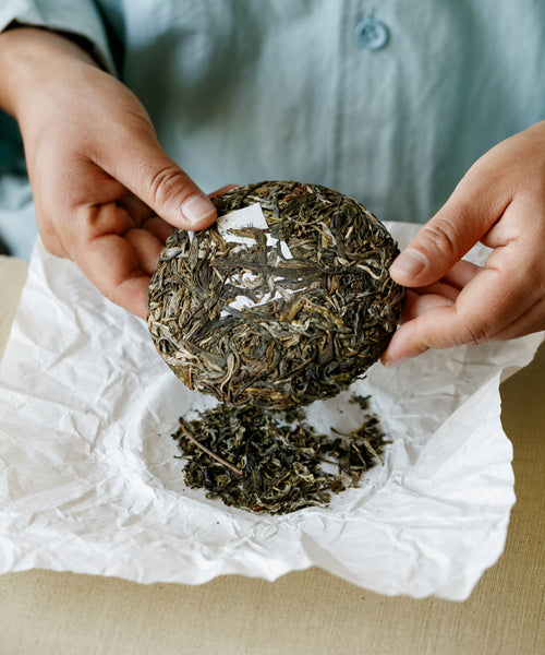 Ancient Spring Orchid dry cake — Mengku trees at 6000 ft with orchid notes, Jinggu, Yunnan