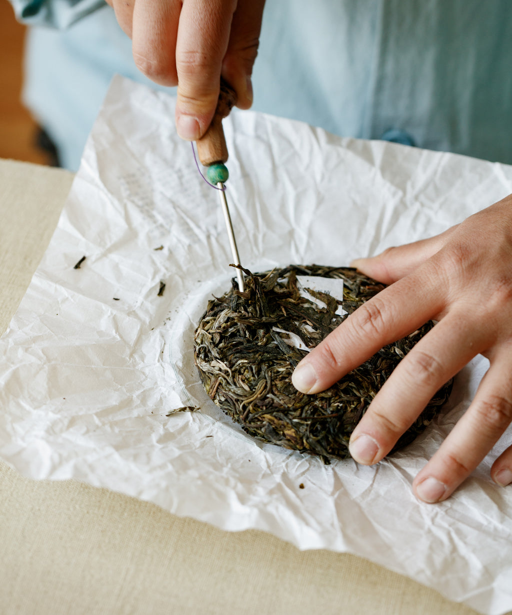 Brewing Ancient Spring Orchid — Mr. Tang's full-bodied sheng pu'erh, Jinggu, Yunnan