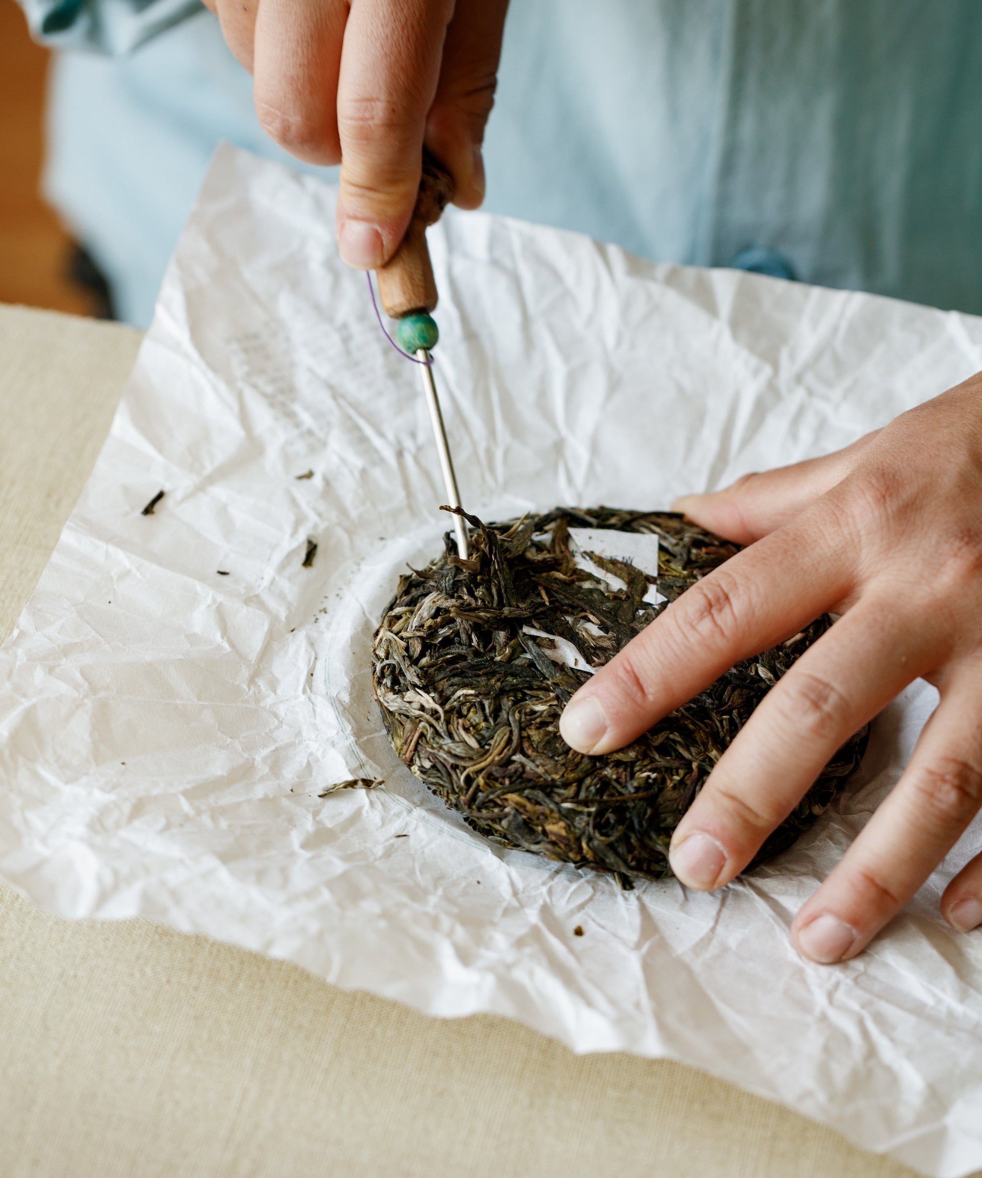 Brewing Ancient Spring Orchid — Mr. Tang's full-bodied sheng pu'erh, Jinggu, Yunnan