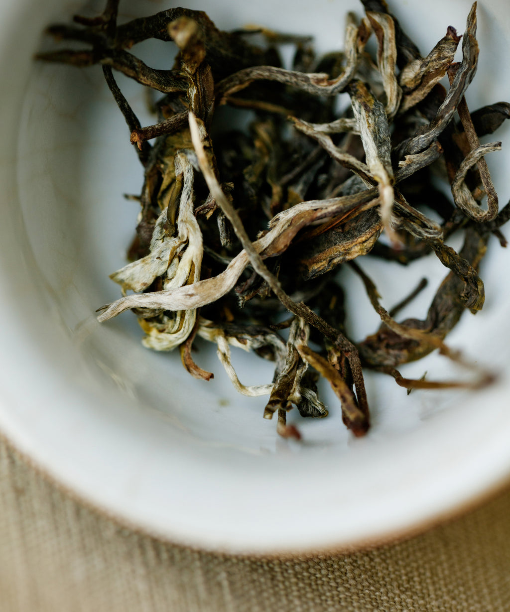 Ancient Spring Orchid wet leaves — ancient tree sheng pu'erh, Jinggu, Yunnan