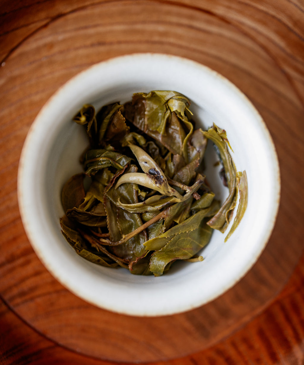 Dry Pine & Moon leaves in a white cup, top view