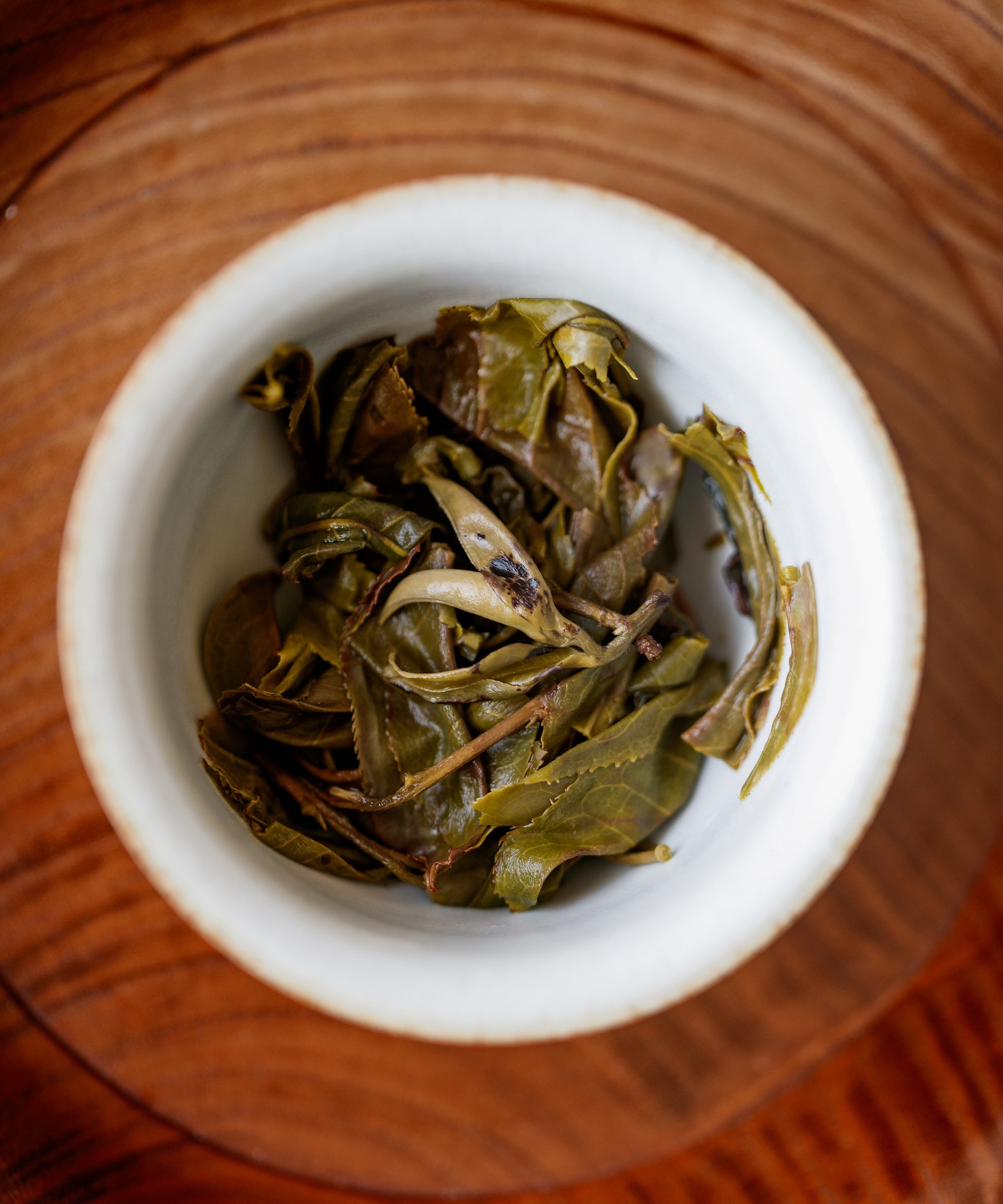 Dry Pine & Moon leaves in a white cup, top view