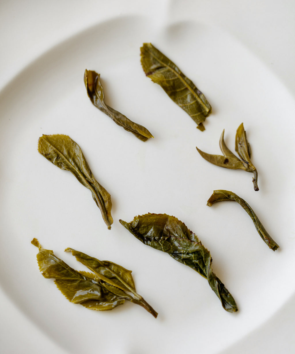 Wet Pine & Moon leaves on a white plate after brewing