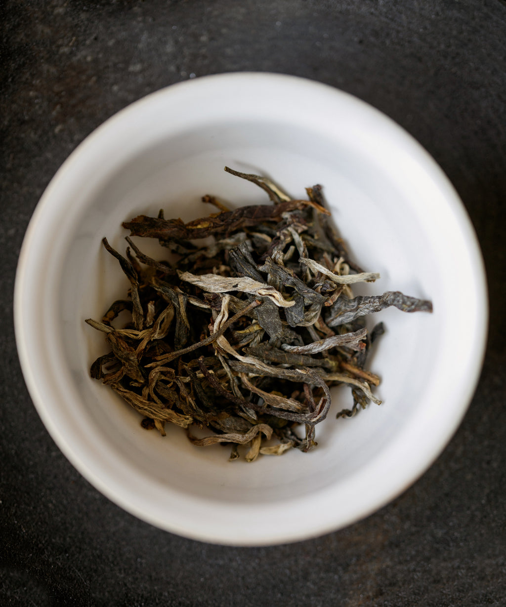 Brewing Fountain of the Forest — Tang Wang's wild foraged sheng pu'erh, Jinggu, Yunnan
