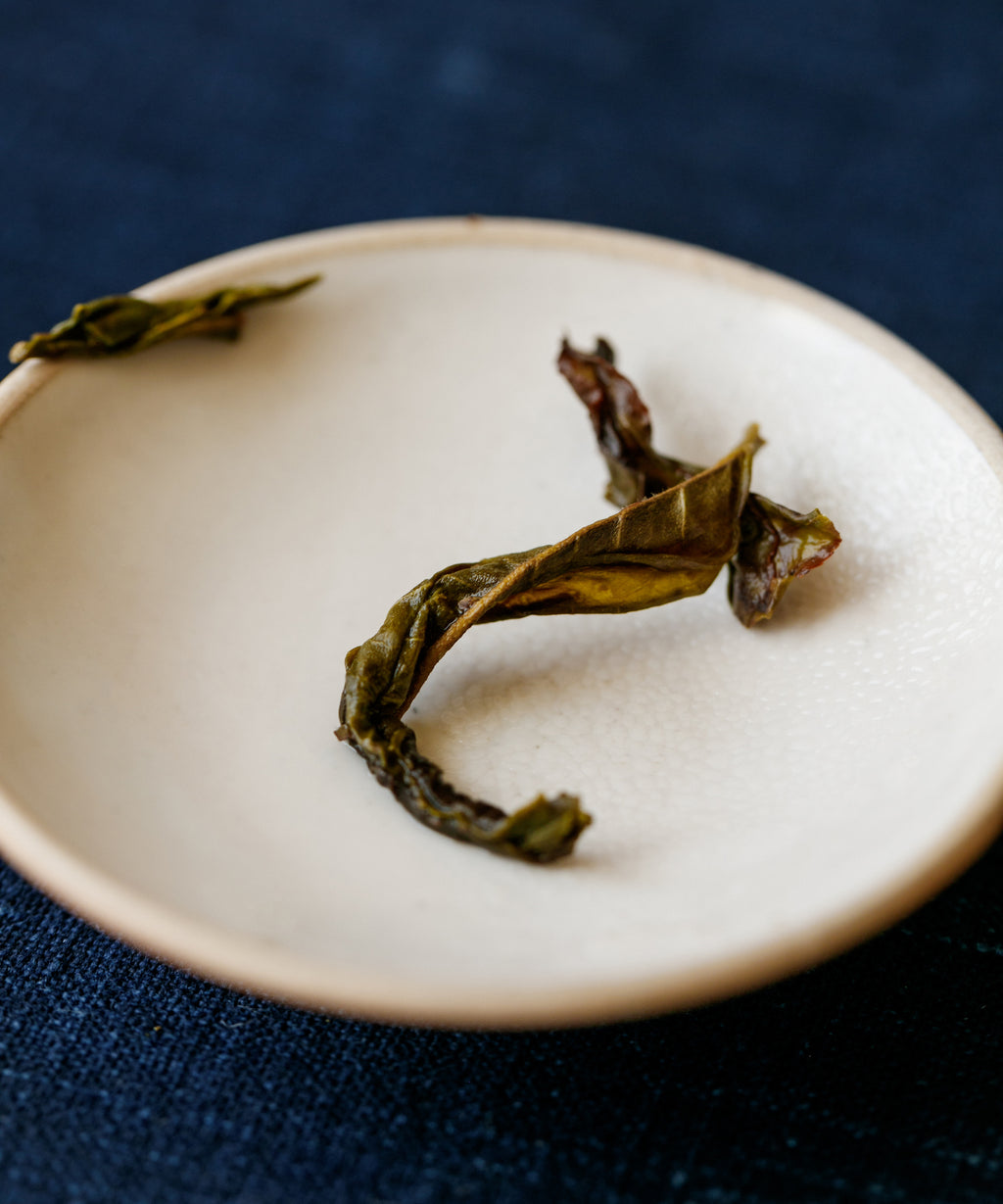 Fountain of the Forest liquor — dense, intense sheng pu'erh with bright ferment and sweetness