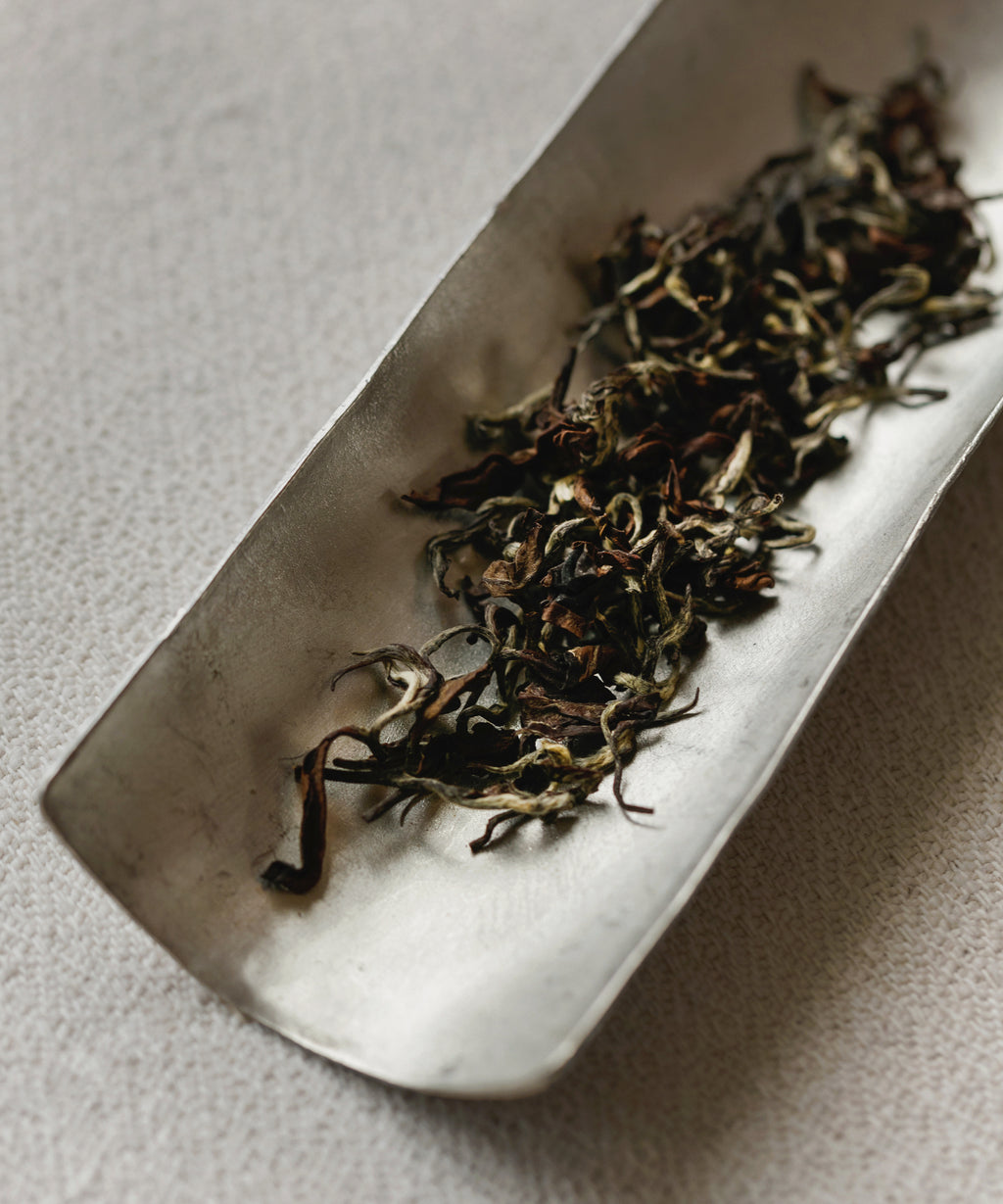 Oriental Beauty dry leaves — auburn one-bud-one-leaf bug-bitten oolong from Hsinchu, Taiwan