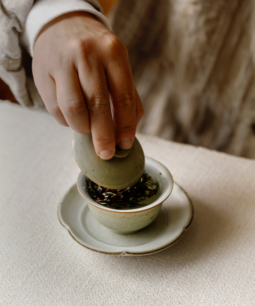 Brewing Oriental Beauty — bug-bitten oolong from Beipu, Hsinchu with water lily and tropical notes