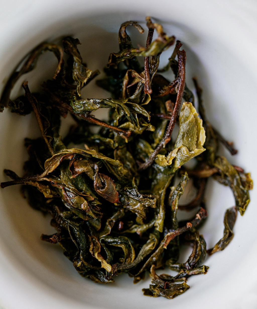 Jiutaipo Ancient Tree wet leaves after brewing — large Mengku Big-Leaf leaves from Qing Dynasty plantings