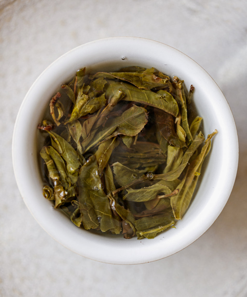 Pouring Jiutaipo Ancient Tree sheng pu'erh — Tang Wang's sun-dried first harvest, 10+ infusions