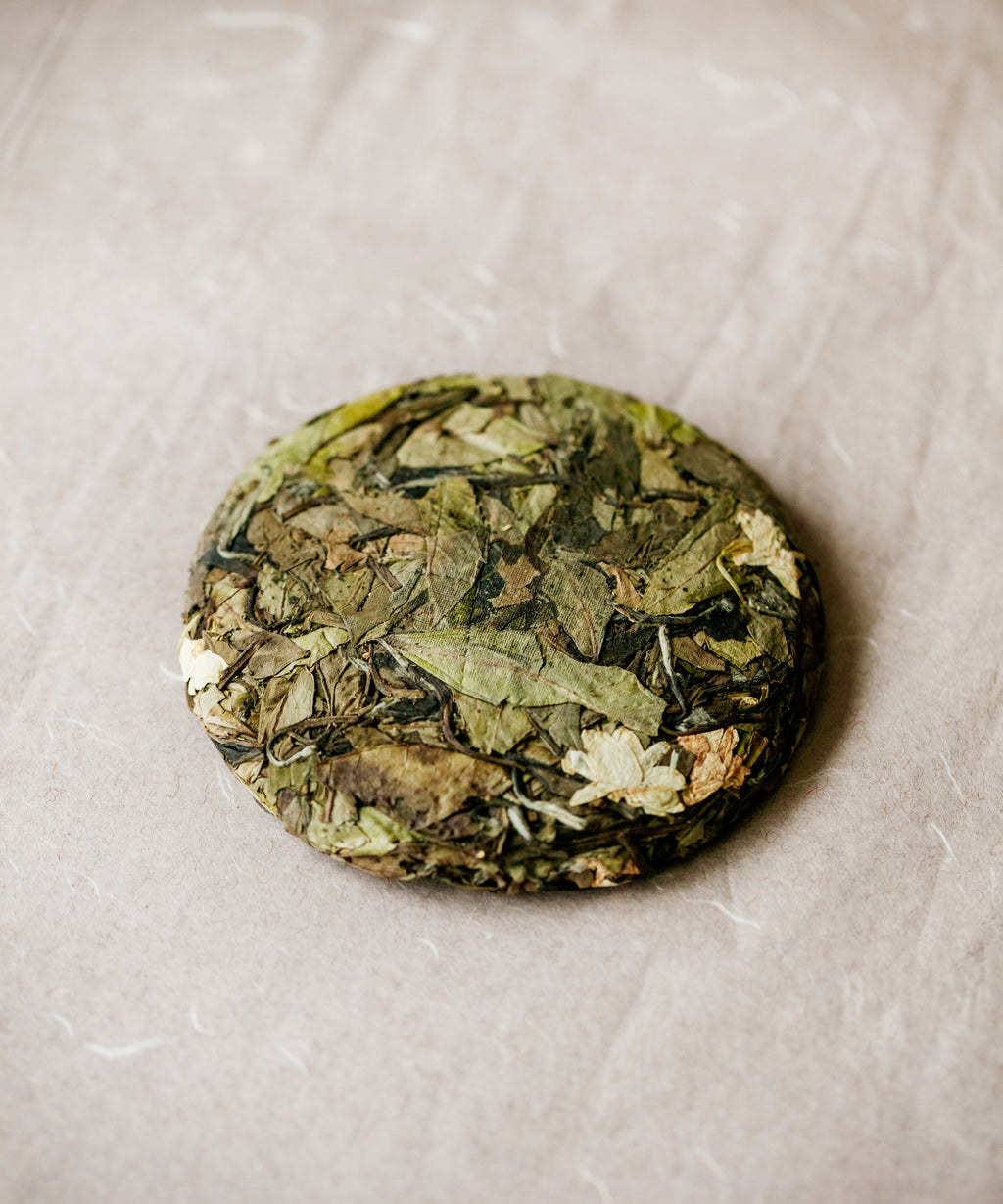 Jasmine Wild White cake close-up — Zhenghe Dabai varietal sun-dried 14 days, pressed with jasmine blossoms