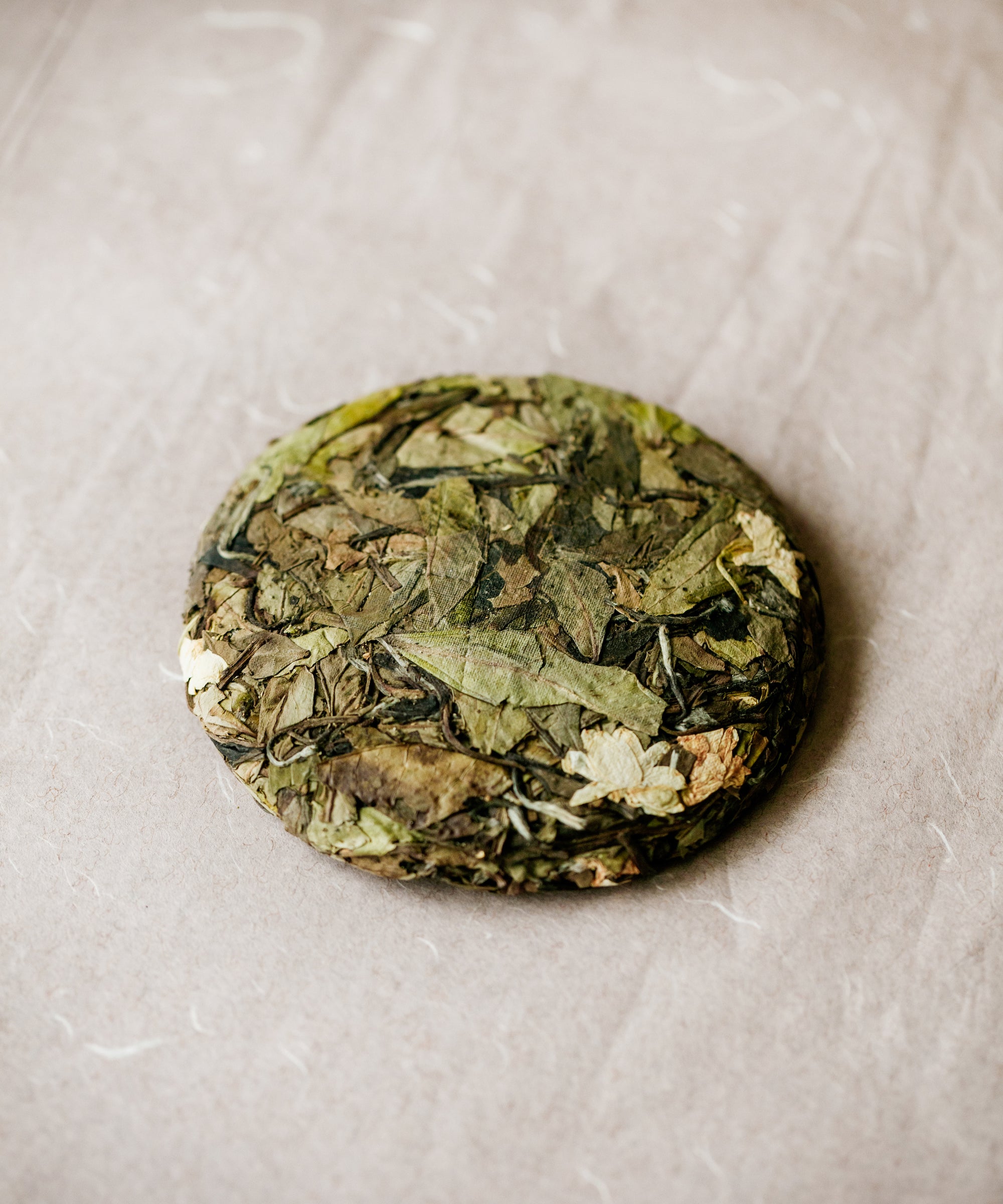 Jasmine Wild White cake close-up — Zhenghe Dabai varietal sun-dried 14 days, pressed with jasmine blossoms