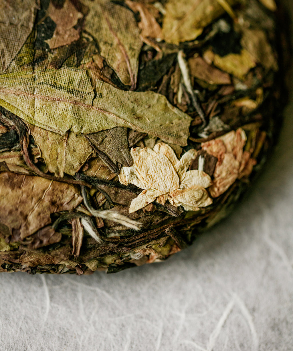 Pouring Jasmine Wild White — dense, comforting shou mei liquor with jasmine emerging on the finish