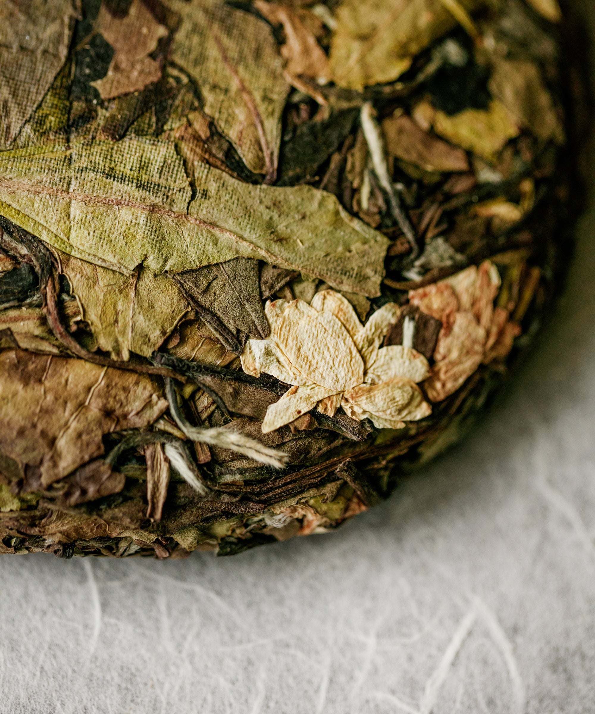 Pouring Jasmine Wild White — dense, comforting shou mei liquor with jasmine emerging on the finish
