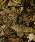Jasmine Wild White pressed tea cake — Mr. Fan's semi-wild shou mei with alpine jasmine, Zhenghe, Fujian
