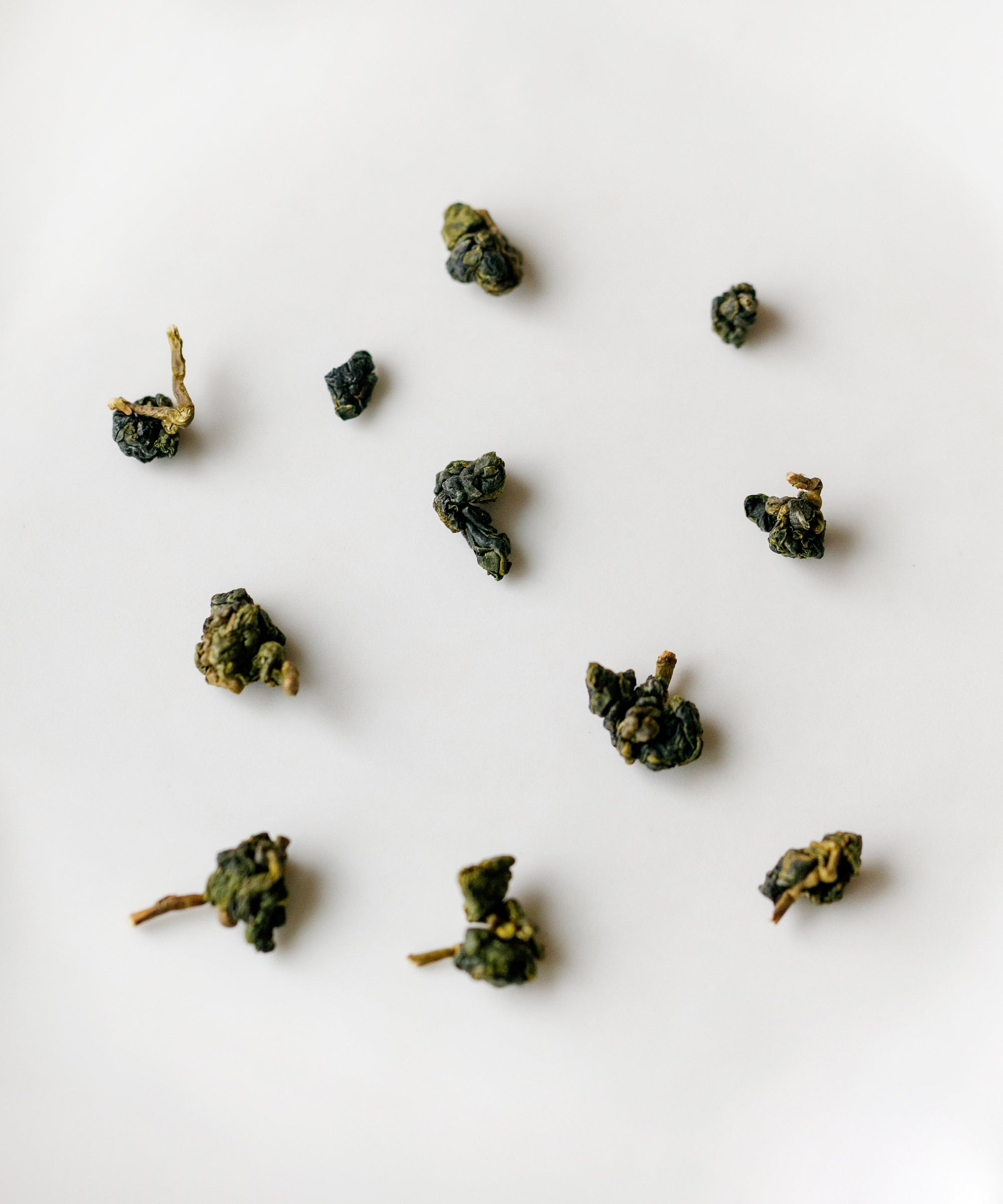 Alishan High Mountain dry rolled oolong leaves close-up — high-altitude indigenous varietal, November 2025 harvest