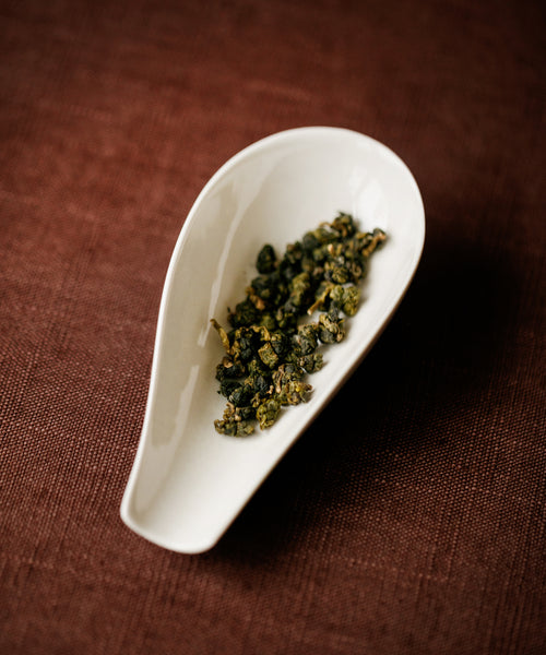 Alishan High Mountain rolled oolong leaves on white dish — indigenous varietal from cloud-covered tea gardens in Alishan, Taiwan